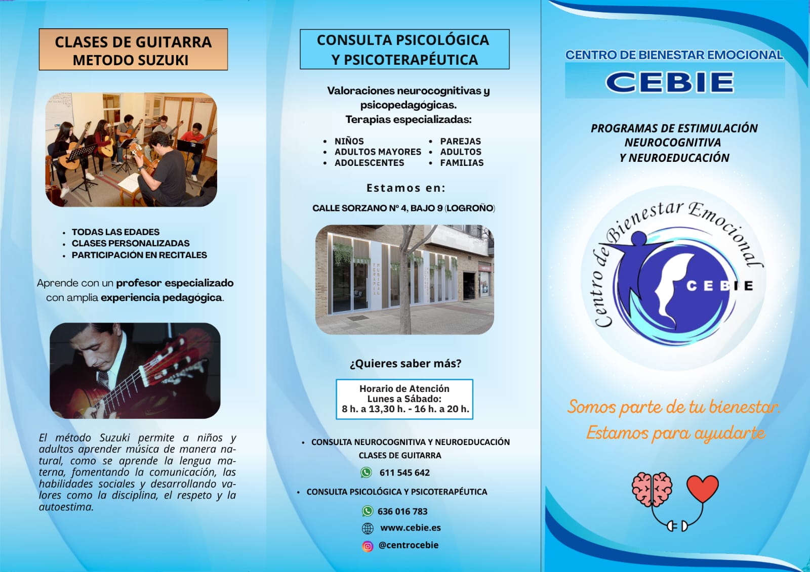 metodo suzuki guitarra logrono cebie neuroestimulacion